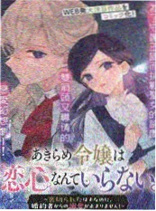 韩国漫画 雪国剑姬 封面